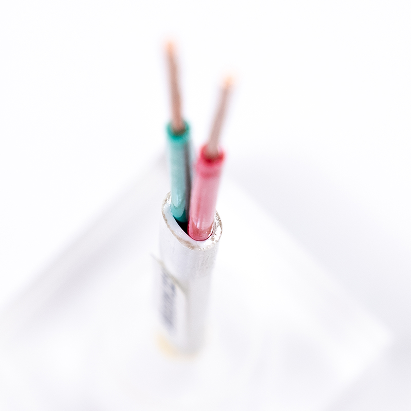 Câble léger gainé PVC 60277 IEC 10 (BVV)