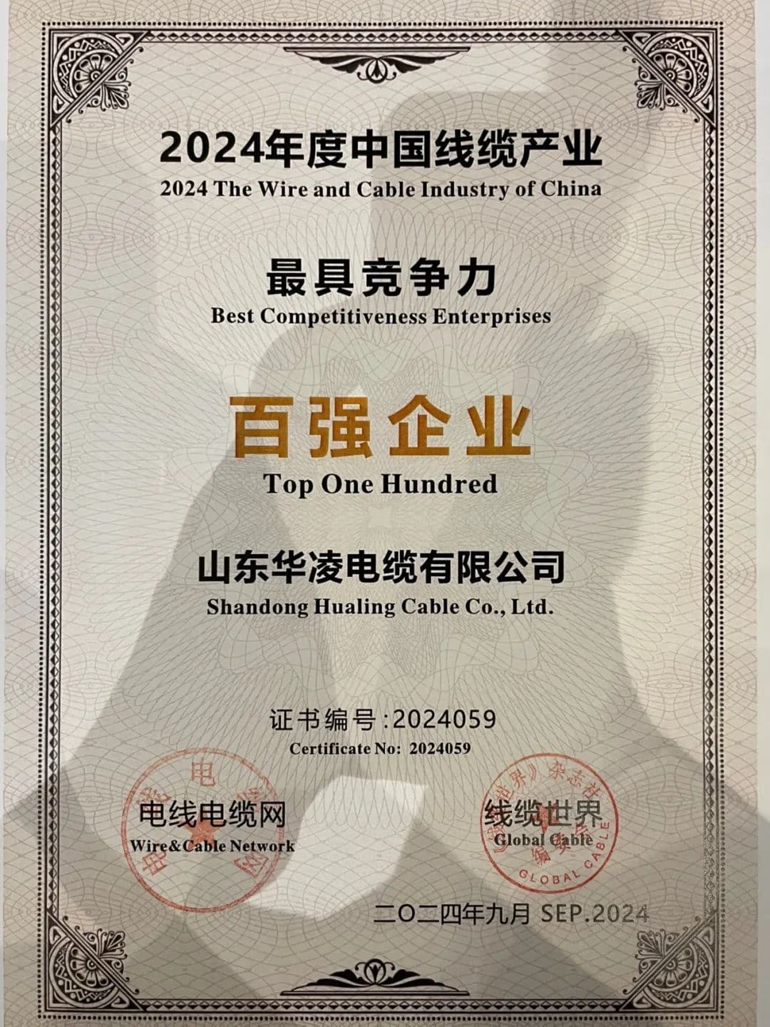 Shandong Hualing Cable Named Among China’s Top 100 Most Competitive Cable Enterprises for 2024