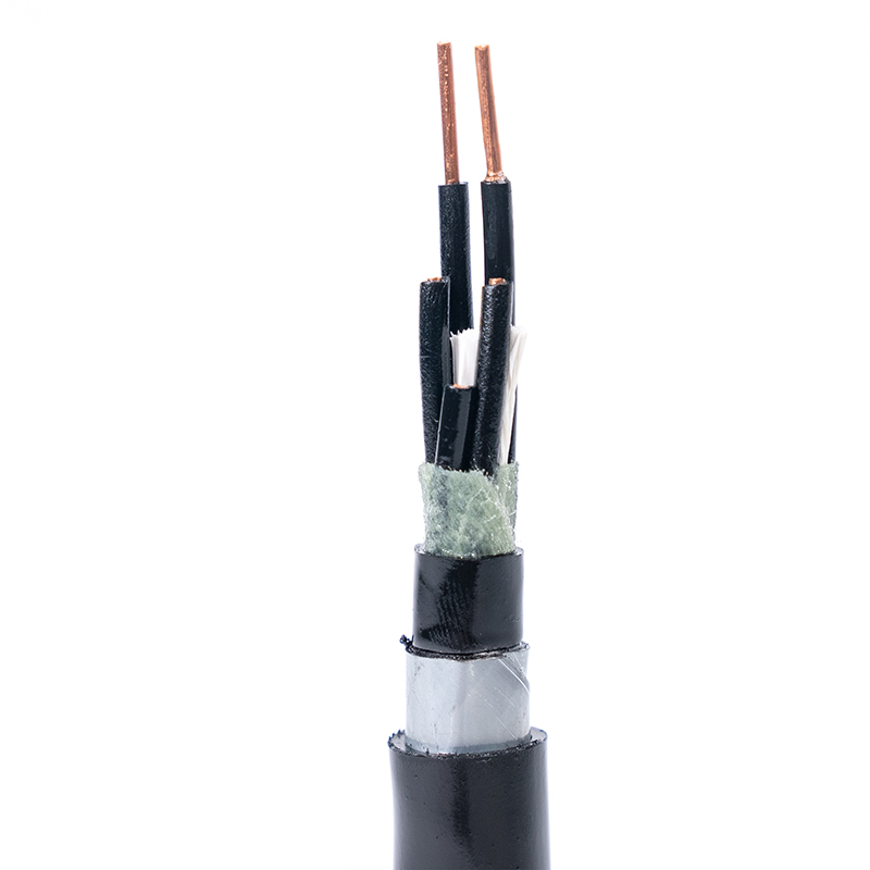 Plastic insulated control cable